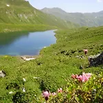 Scheurerhof