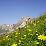 Scheurerhof 公寓 *