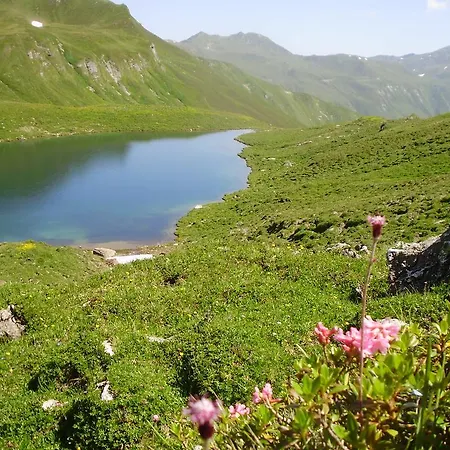 Scheurerhof