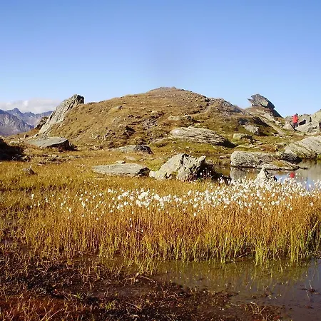 Scheurerhof *