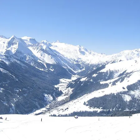 Scheurerhof