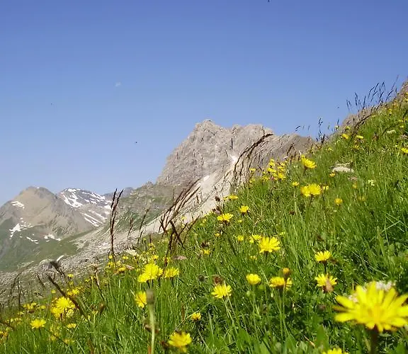 Scheurerhof 公寓 *