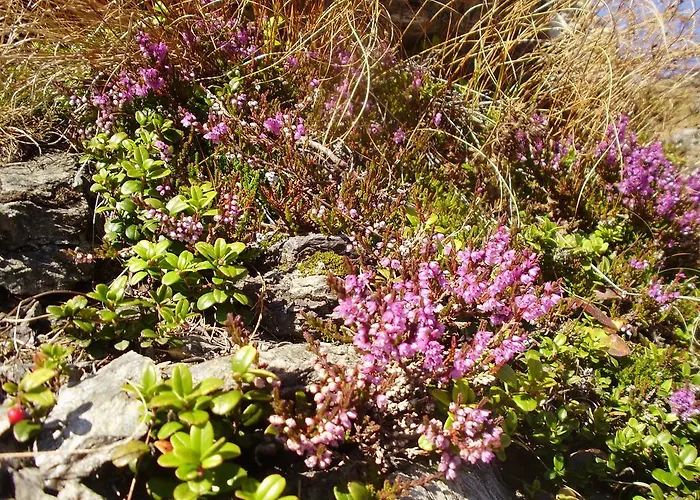 Scheurerhof Апартаменты Тукс