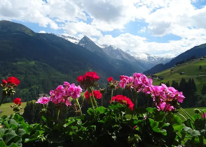 Апартаменты Scheurerhof *