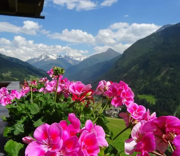 公寓 Scheurerhof 图克斯