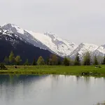 Scheurerhof