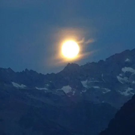 Scheurerhof