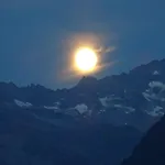 Scheurerhof